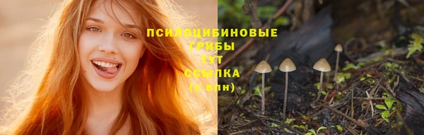 дмт Балабаново