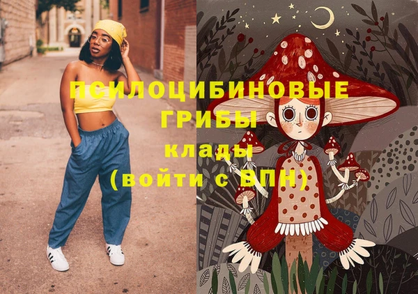 дмт Баксан