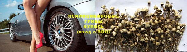 дмт Баксан