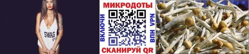 Псилоцибиновые грибы ЛСД  Купить  Гороховец 